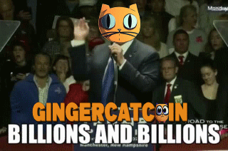 MEME BILLIONAIRE